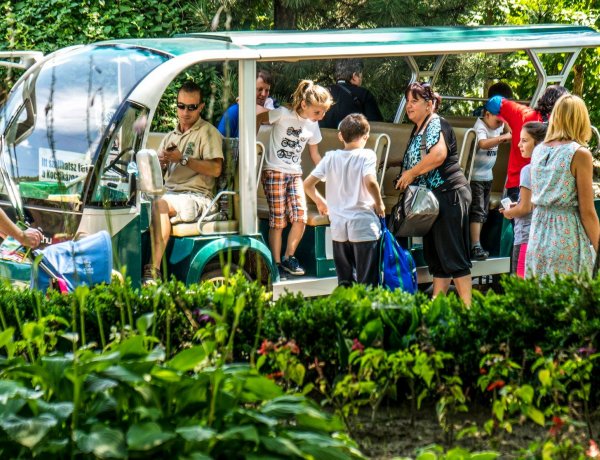 Húsvétkor is vár a Nyíregyházi Állatpark! – Orrszarvú bébi, makik és kecskegidák