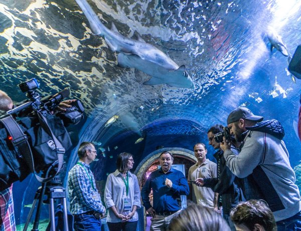 Tengerbiológusok a Nyíregyházi Állatparkban – Középpontban a ráják és a cápák