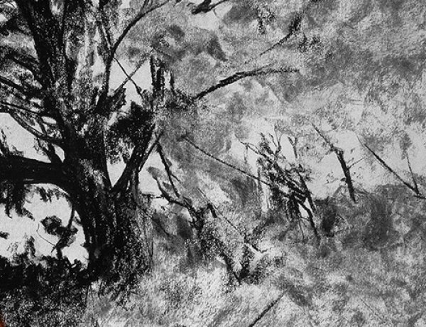 „... hárman Nyíregyházáról indultak" - festőművészek közös kiállítása 