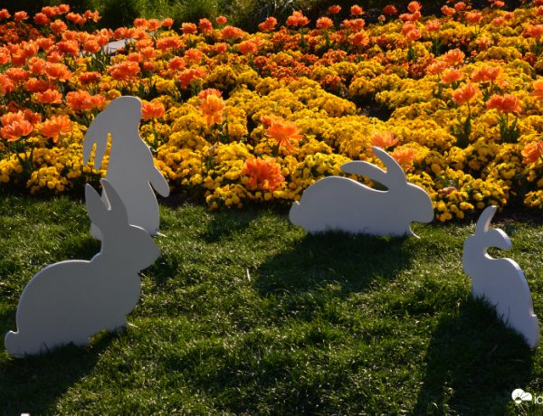 Milyen időjárást tartogat nekünk a hosszú hétvége? - Itt a négy napos előrejelzés!