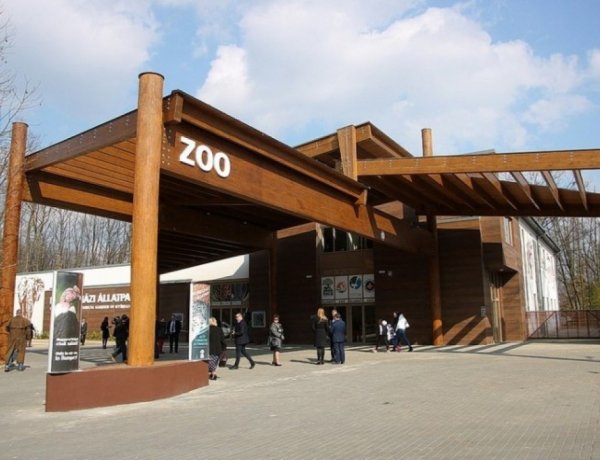 Forgalomirányítás Sóstón az ünnepek alatt - Cél a zavartalan közlekedés