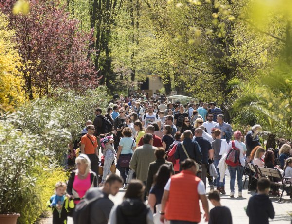 Rekordszámú érdeklődő töltötte a húsvétot a Nyíregyházi Állatparkban!