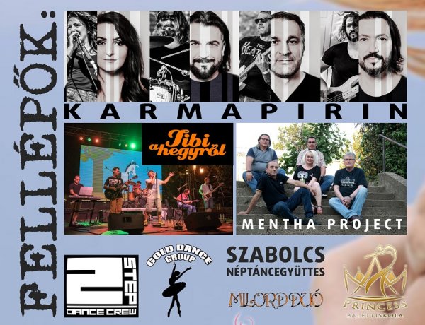 Jótékonysági rendezvény május 4-én a Budai ikrek megsegítésére