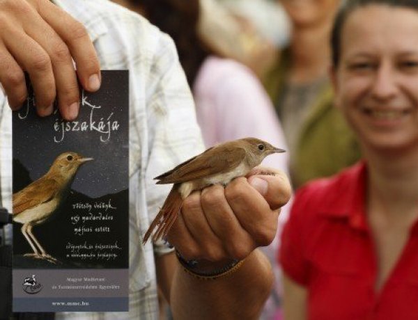 Hazatérnek Afrikából a fülemülék – Ismét útjára indul a „Fülemülék éjszakája" rendezvény