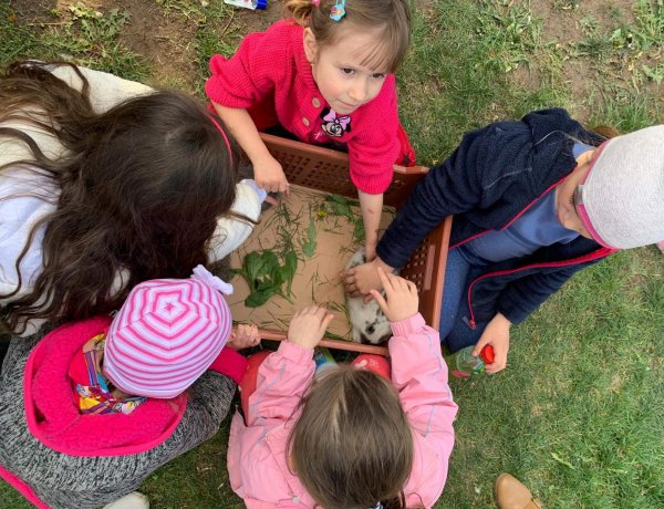 Tojásfát díszítettek Oroson húsvétkor – Nyuszisimogatás is a program része volt