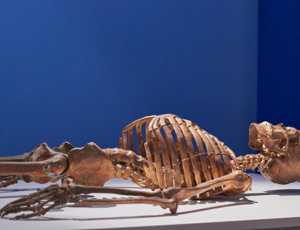 Királyi családok tagjai a múzeumban - Messzemenő következtetéseket vonhatunk le