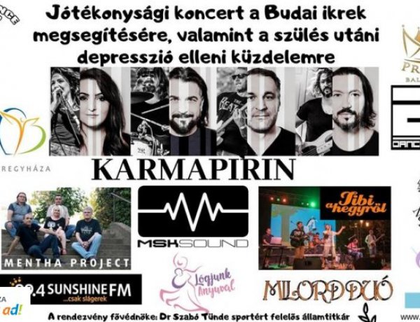 Jótékonysági rendezvényt szerveznek az ikreknek, akiknek édesanyja mélybe vetette magát