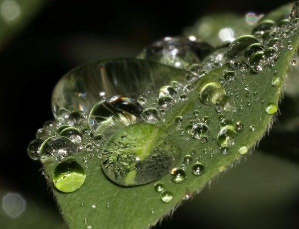 Életmentő csapadék érkezett a növényeknek, de további esőre van szükség!