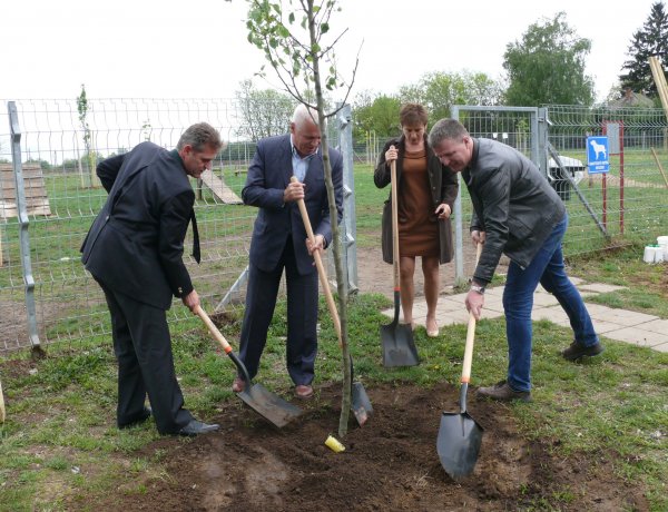 Nyíregyháza és a NYÍRERDŐ is csatlakozik az országos fásítási programhoz
