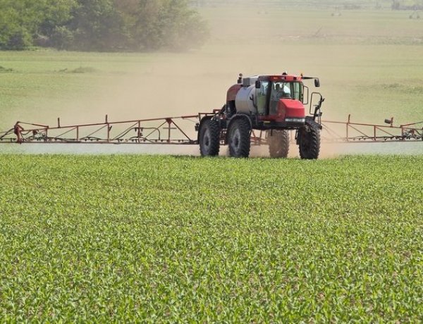 Növényvédelemben is közreműködik a NAV – Idén is kiemelt figyelem!
