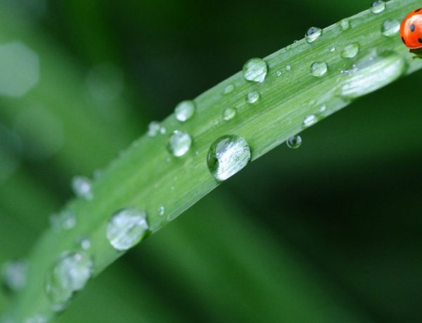 Markáns hidegfront érkezik a hétvégén, erős lehűlésre számíthatunk