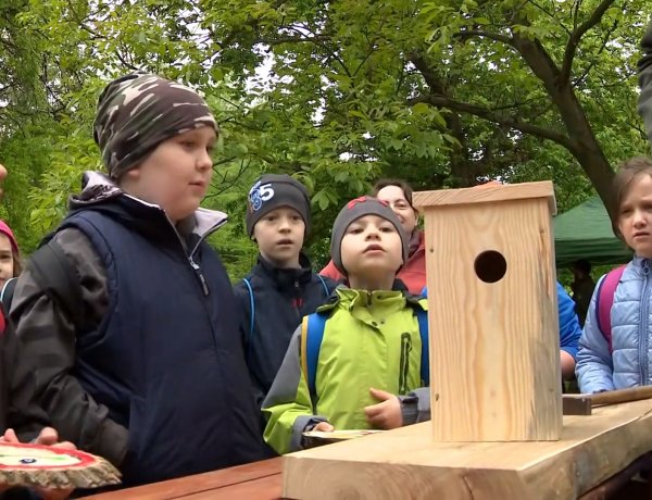 Madarak és fák napja a botanikus kertben – Bemutatók, programok és kézművesség