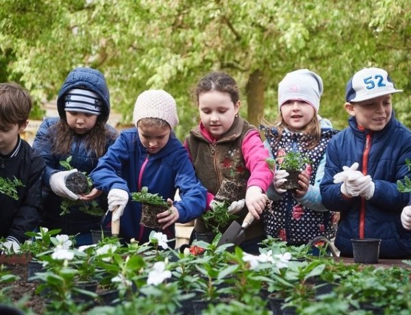 Folytatódik a városszépítés: közel ezer virágot ültettek el kisiskolások a belvárosban