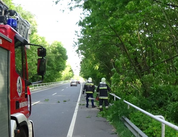 Viharkárok város- és megyeszerte – Nyíregyházát sem kímélte a viharos szél