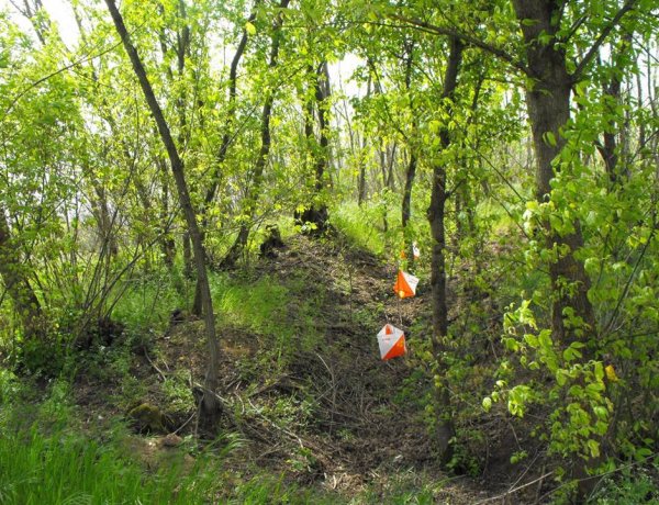 Tájékozódási futás és Trail-O Váltó Országos Bajnokság komoly mezőnnyel