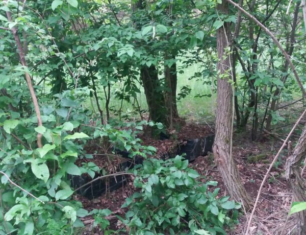 Kilencmillió forintot érő cigit hagytak hátra – Az eső sem tartotta vissza a csempészeket