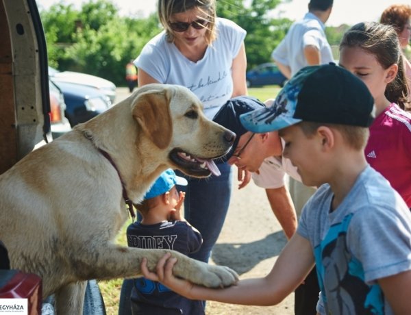Kertvárosi Gyermeknap - bemutatókkal, habpartival, lufihajtogató bohóccal