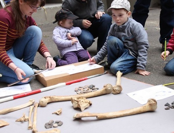 Régészet Napja - egész napos programok a Jósa András Múzeumban, május 24-én 