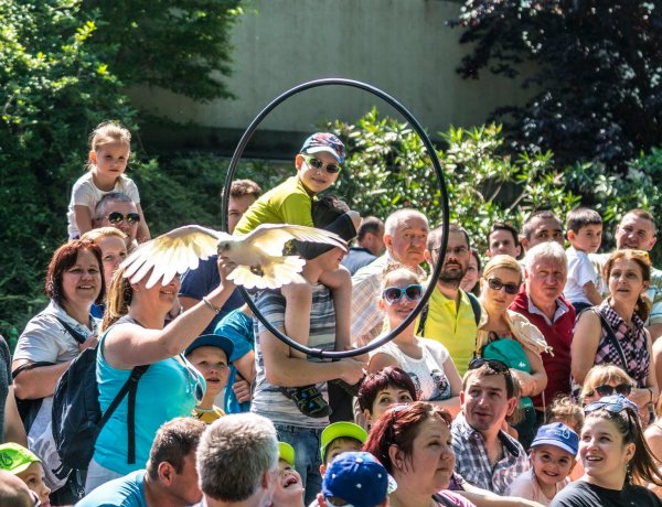 Állati jó hétvége lesz a Nyíregyházi Állatparkban – Gyermeknapi programokkal készülnek!