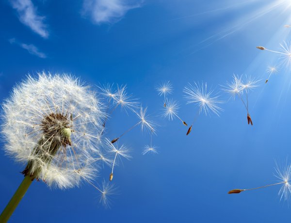 Változatos idővel indul a hét, déltől elszórtan esőre is számíthatunk