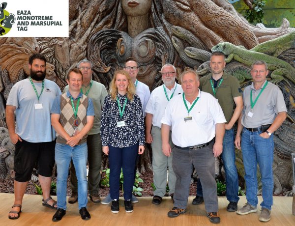 Állati hírek – Újabb nemzetközi tanácskozásnak adott otthont a Nyíregyházi Állatpark