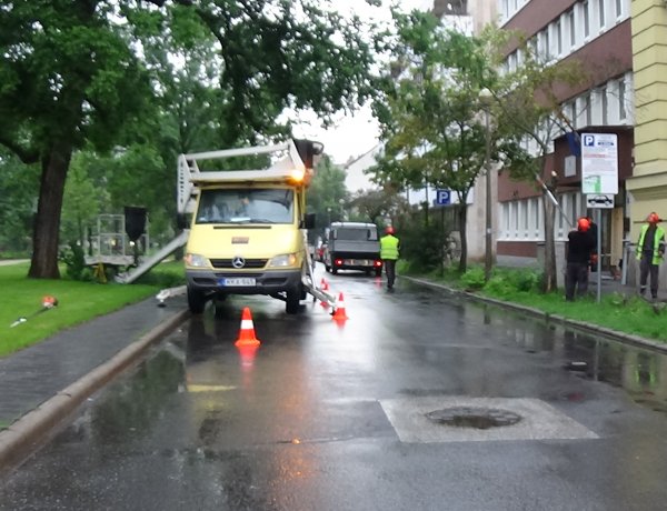 Faápolási munkálatok a Bessenyei téren – A cél, hogy a térfigyelők látótere ne csökkenjen