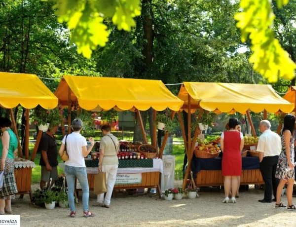 Újra nyit a Sóstói piac! - 2019-ben kibővített nyitvatartással és programokkal!