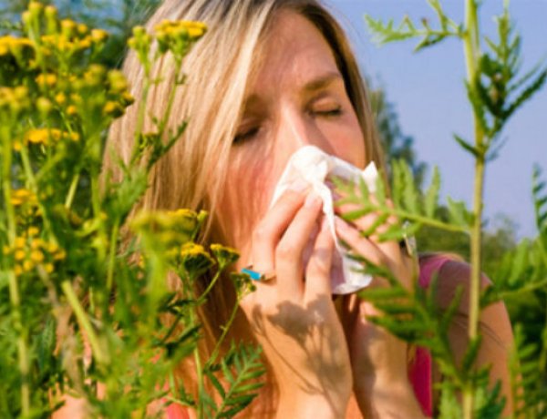 Itt az allergiaszezon - A pázsitfűfélék tüneteket okozhatnak
