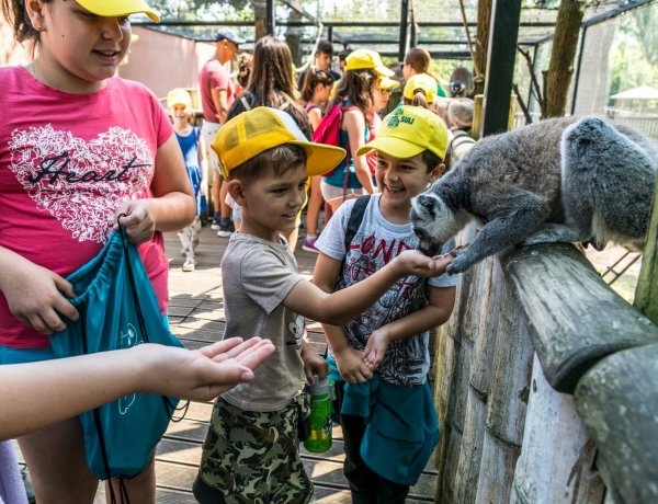Jövő héten indul a Zoo-Suli, a Nyíregyházi Állatpark nyári tábora – Hasznos tudnivalók!