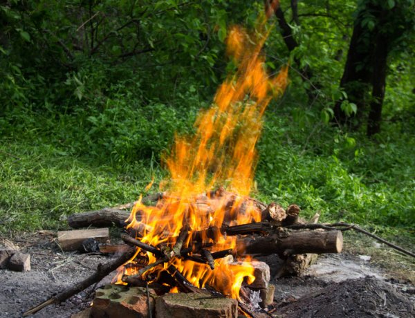 OKF: idén már több mint hétezer szabadtéri tűzhöz riasztották a tűzoltókat