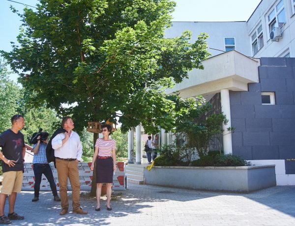 Jó ütemben haladnak az energetikai felújítási munkálatok a Gárdonyi iskolánál is!