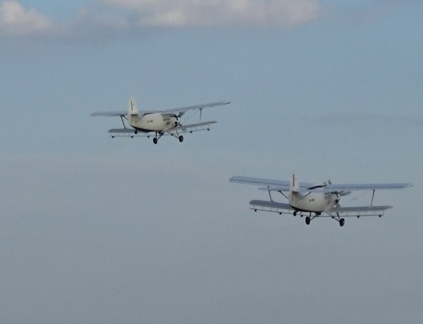 A magasból vették fel a harcot a szúnyogokkal Nyíregyházán – Légi szúnyogirtást végeztek!