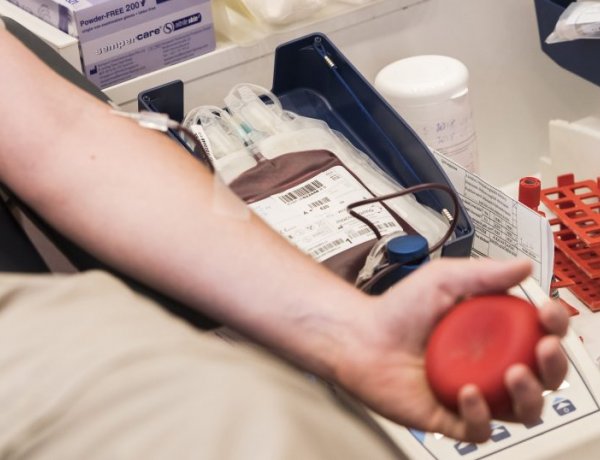 Nyári véradás – A héten az Inkubátorházban és a Contitech gyárában lesz nyitott véradás