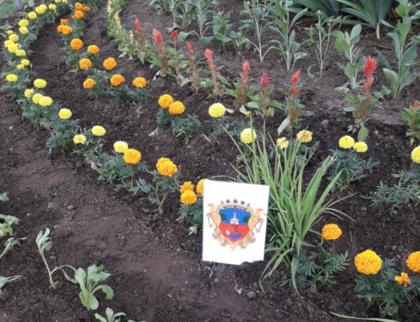 Ismét virágosítottak Oroson önkormányzati pályázat és a Városüzemeltetés segítségével