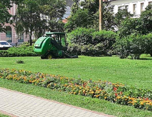 Folyamatosan vágják a füvet városszerte – Intenzív a fűnövekedés térségünkben is