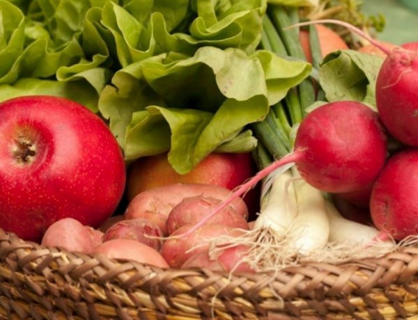 Jellegzetes helyi termékeket és szolgáltatásokat keresnek   