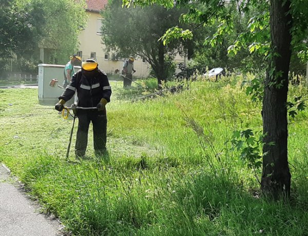 A fűhelyzetet az időjárás határozza meg leginkább - Az esőben nő, mintha húznák