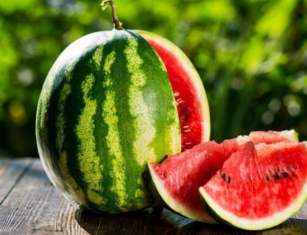 Két hét múlva indul a hazai dinnyeszezon - Kevesebb, de jó minőségű lesz az idei termés