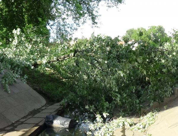 A FETIVIZIG munkatársai érkeztek az Ér-patak medrébe hasadó faág eltávolításához