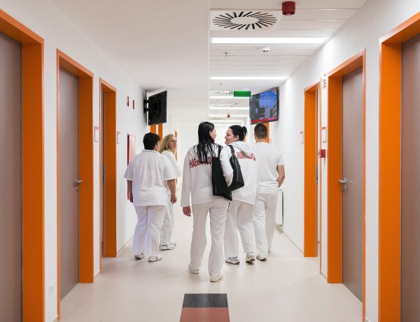 Semmelweis-nap – Ügyeleti rend szerint dolgoznak a gyógyító osztályokon július elsején