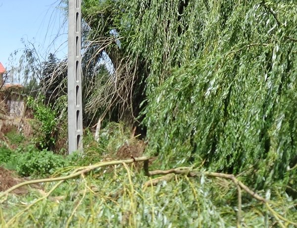 Román István kormánymegbízott a károk helyszínein tájékozódik a vihar utáni helyzetről