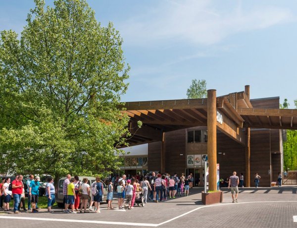 Nem szeret sorban állni? A Nyíregyházi Állatparkban már nem is kell, itt az online belépő!