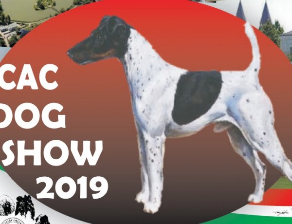 CAC Dog Show 2019 – Nemzetközi kutyakiállításnak ad otthont Nyíregyháza