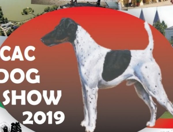 CAC Kutyakiállítás Nyíregyházán, a Kertvárosi Piac területén 