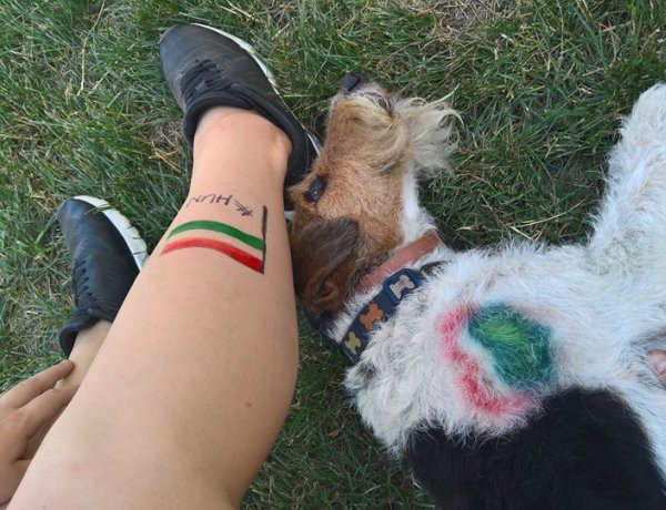 Tetoválás, festés-színezés és manikűr! Mindez a kutyáknál is divat – Ebkozmetikus mesél!