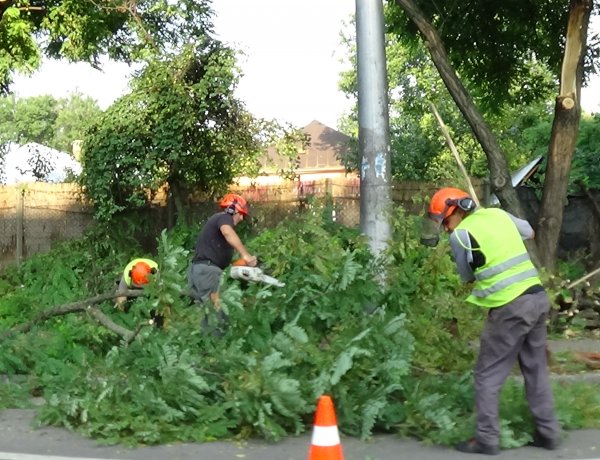Forgalomkorlátozás mellett gallyazási munkálatokat végez a NYÍRVV a Kert utcán
