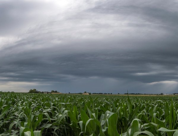 Kiadta a riasztást a meteorológiai szolgálat: itt lesz eső a következő órákban