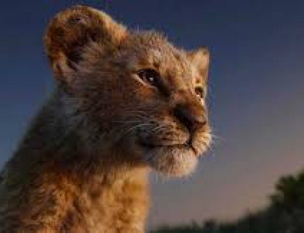 Az oroszlánkirály három hét után máris rekordokat döntöget a mozikban