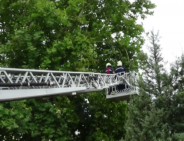 Lehasadt faághoz riasztották a katasztrófavédelem munkatársait a Lengyel utcába