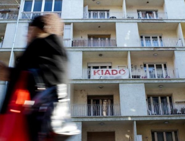 Merre raknak fészket a gólyák? - Albérlet vagy kollégium?   